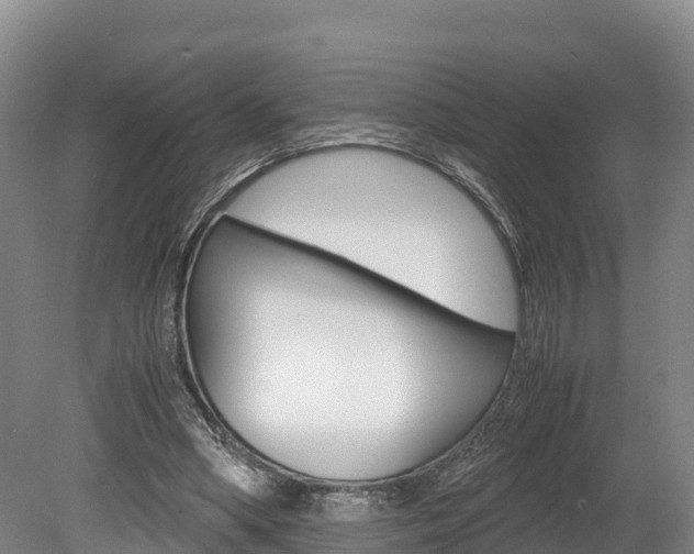 X0000078880394200611131059