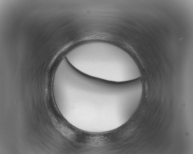 X0000078880396200611131059