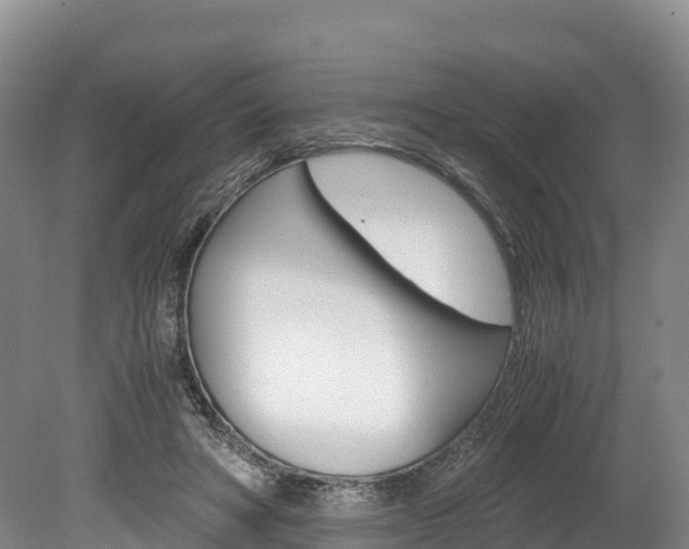 X0000078880402200611131059
