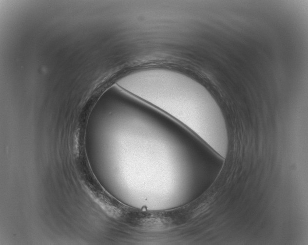 X0000078880404200611131059