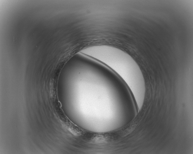 X0000078880416200611131059