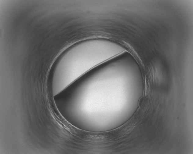 X0000078880435200611131058