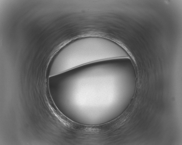 X0000078880437200611131058