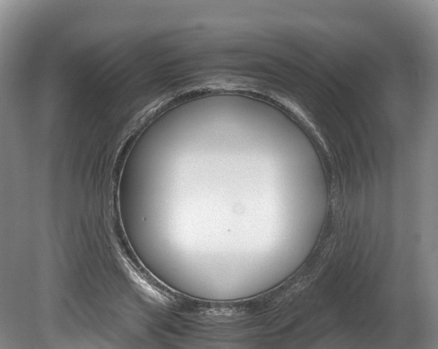 X0000078880445200611131058