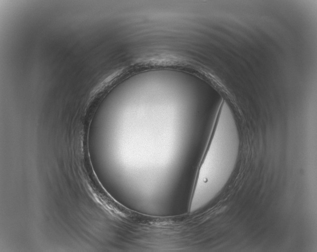 X0000078880446200611131058