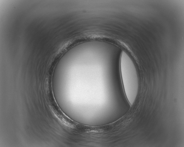 X0000078880447200611131058