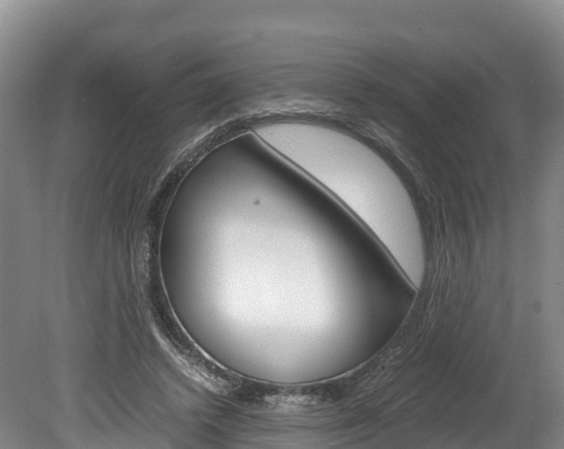 X0000078880448200611131058