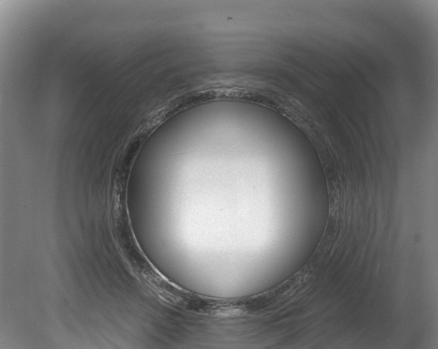 X0000078880456200611131058