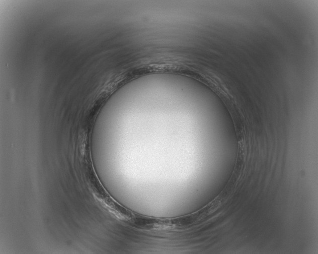 X0000078880458200611131058