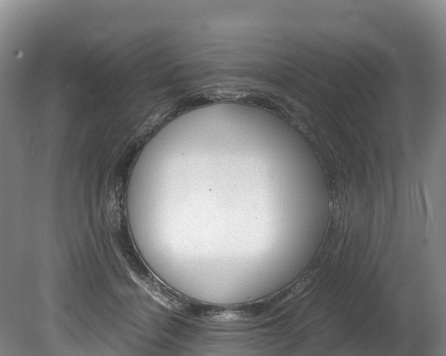 X0000078880460200611131058