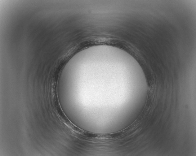 X0000078880462200611131058