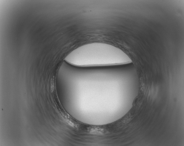 X0000078880471200611131058