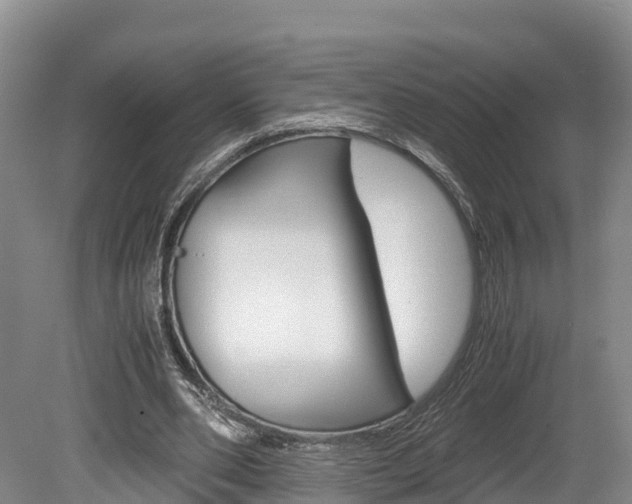 X0000078880486200611131058