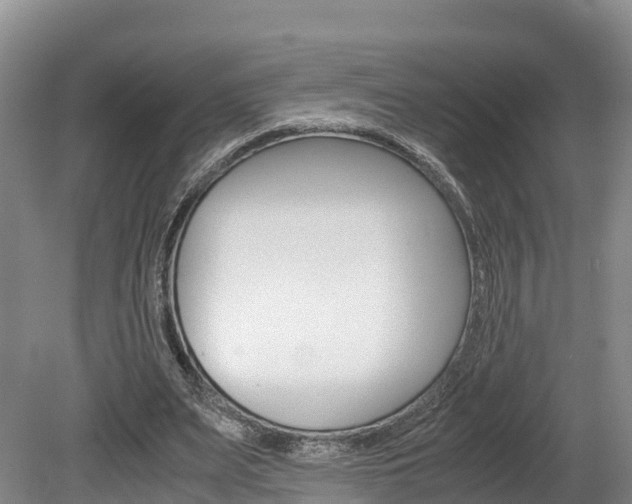 X0000078880487200611131058