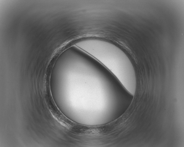 X0000078880492200611131057