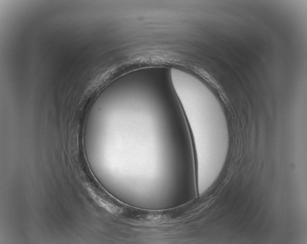 X0000078880493200611131057