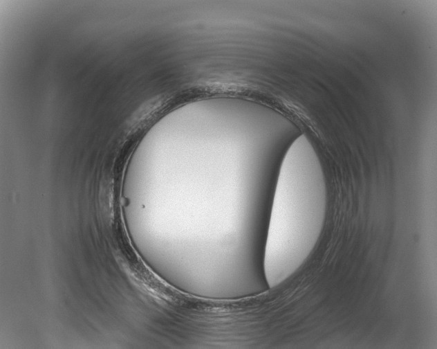 X0000078880494200611131057