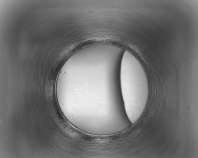 X0000078880495200611131057