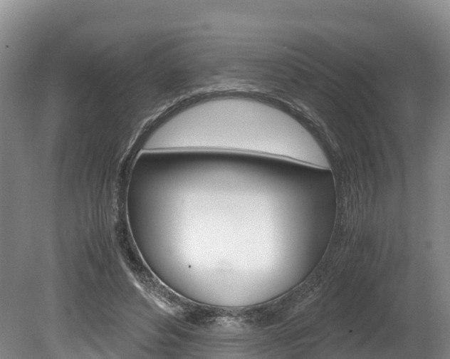 X0000078880496200611131057