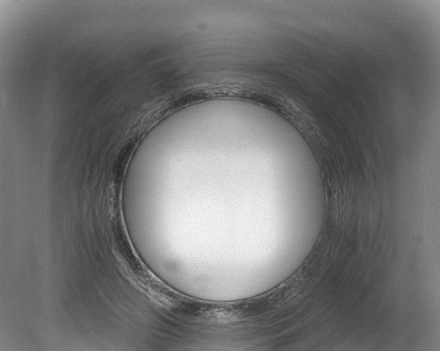 X0000078880498200611131057