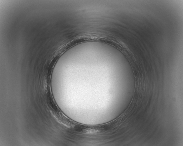 X0000078880500200611131057