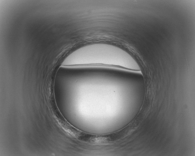 X0000078880501200611131057