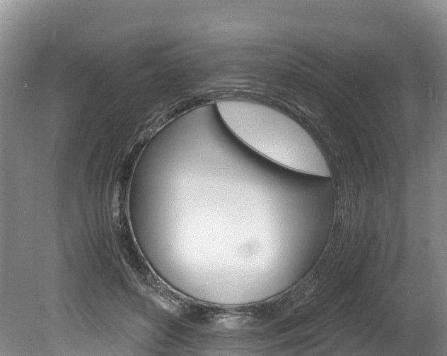 X0000078880504200611131057