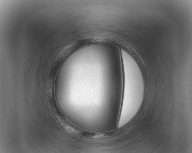 X0000078880505200611131057
