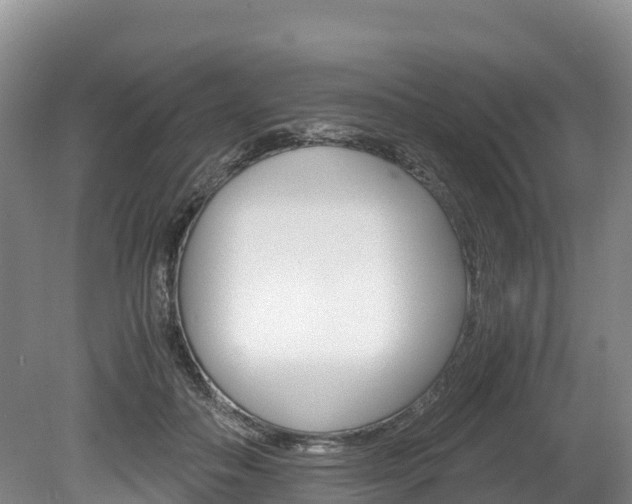 X0000078880506200611131057