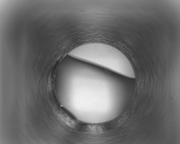 X0000078880520200611131057