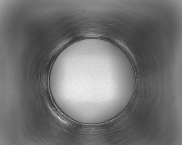 X0000078880533200611131056