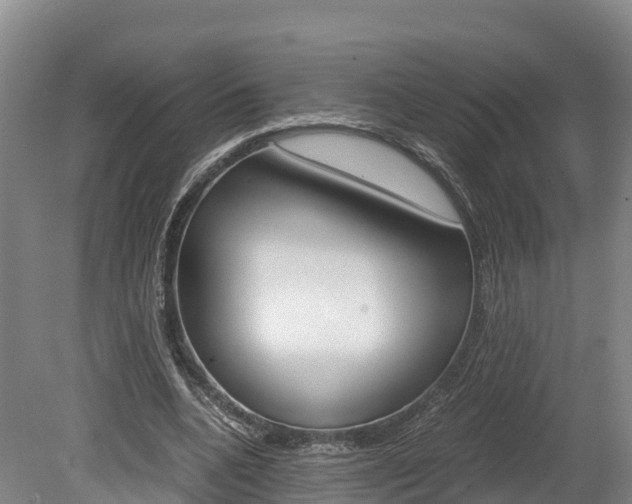 X0000078880536200611131056