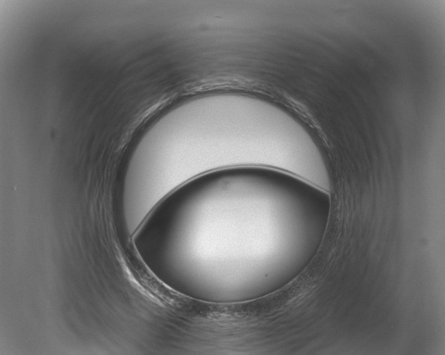 X0000078880538200611131056