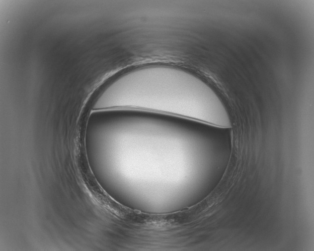 X0000078880540200611131056