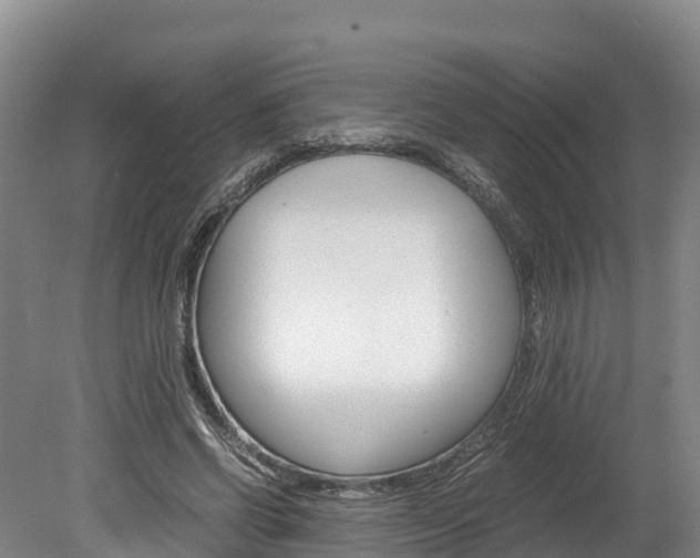 X0000078880542200611131056