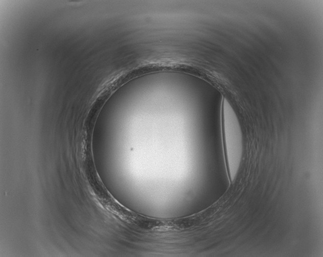 X0000078880544200611131056