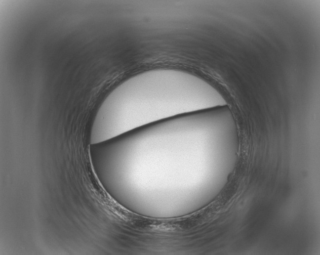 X0000078880545200611131056