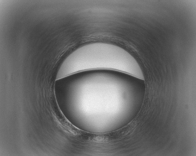 X0000078880546200611131056