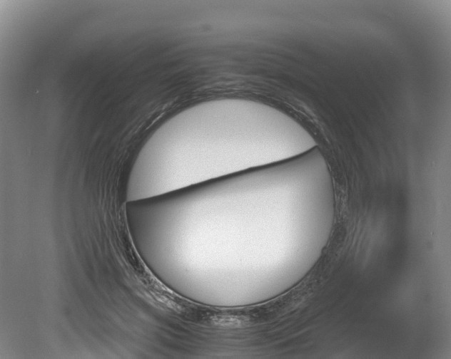 X0000078880549200611131056
