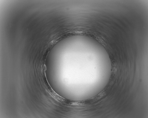 X0000078880568200611131057