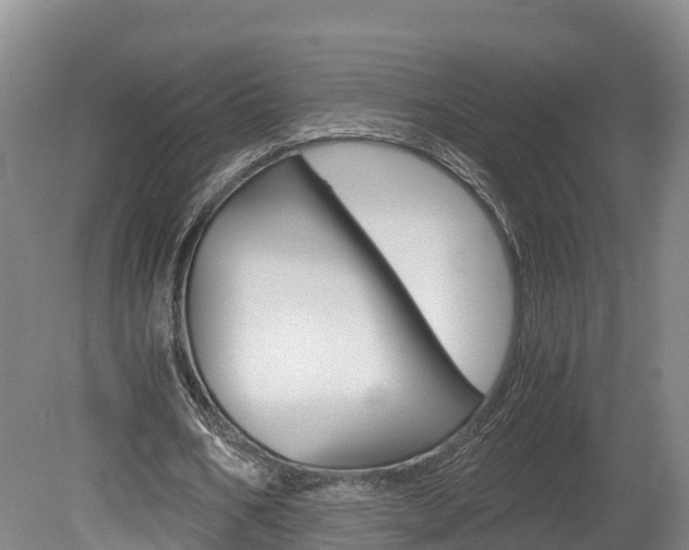 X0000078880578200611131056