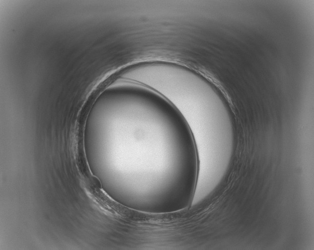 X0000078880580200611131056