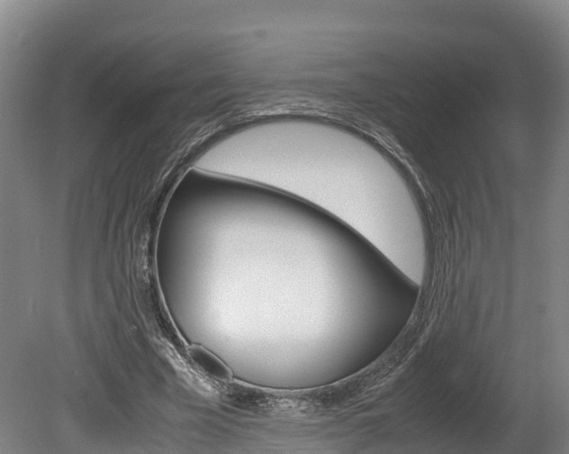 X0000078880585200611131056