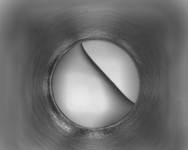 X0000078880586200611131056