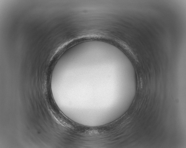 X0000078880588200611131056
