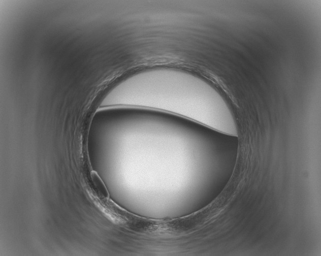 X0000078880589200611131056