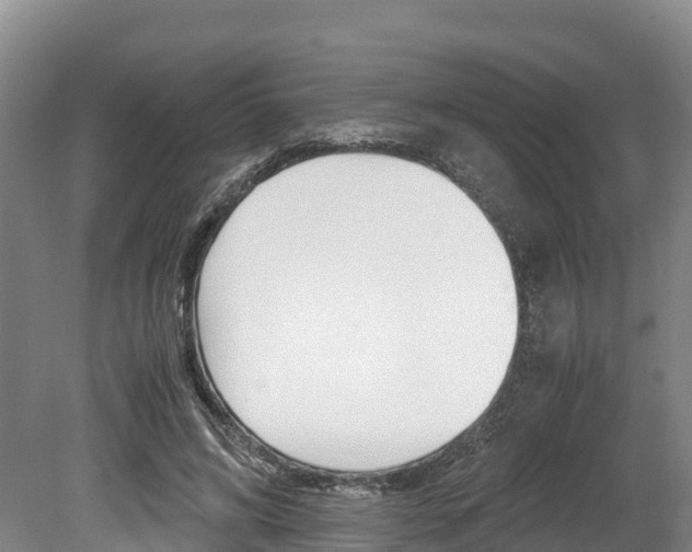 X0000078880592200611131056