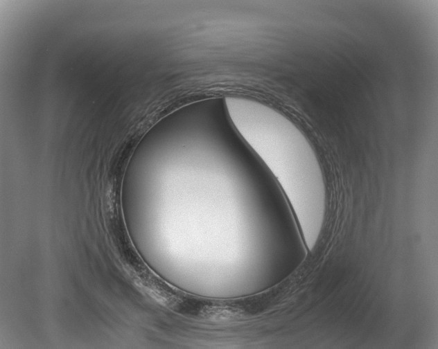 X0000078880597200611131056
