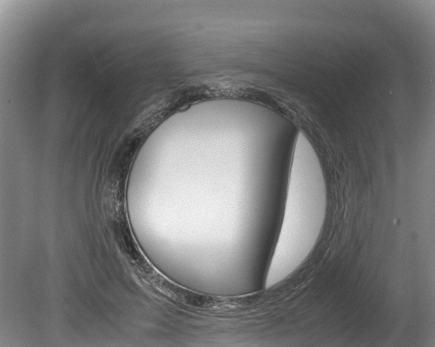 X0000078880599200611131056