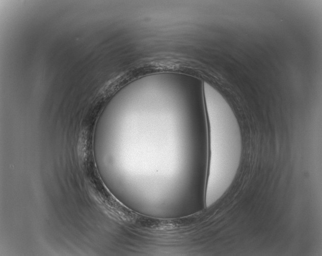 X0000078880600200611131056